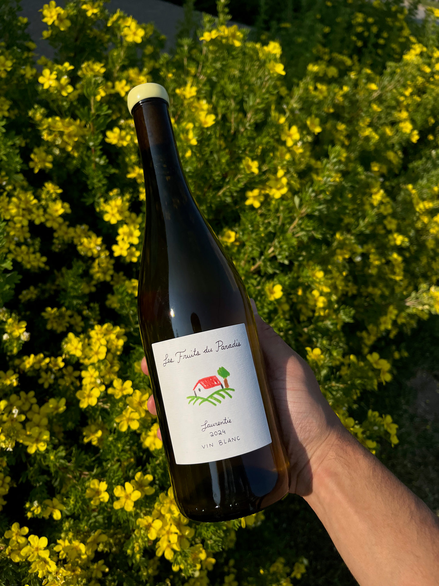 Laurentie 2024 - vin blanc