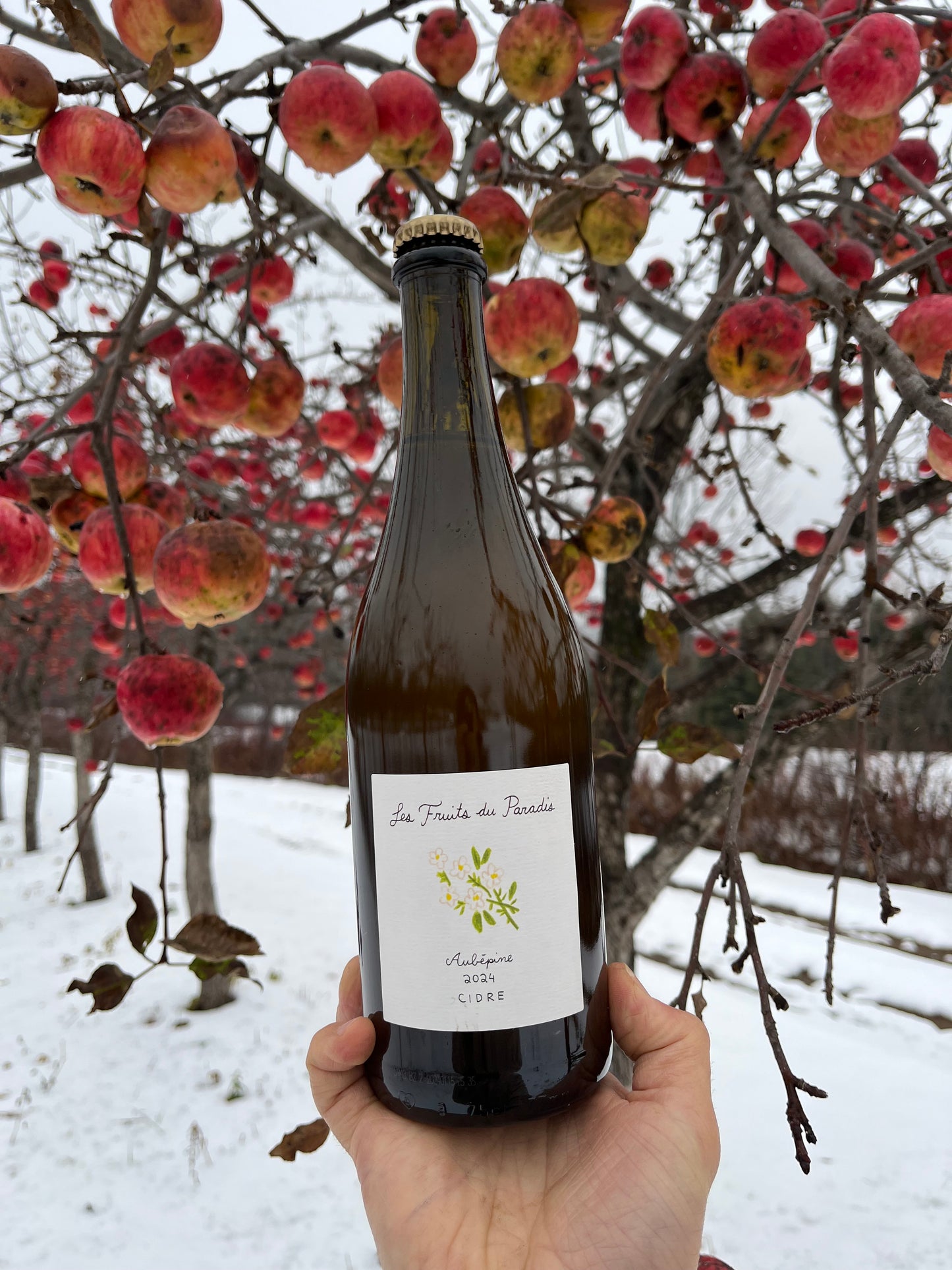 Aubépine 2024 - cidre